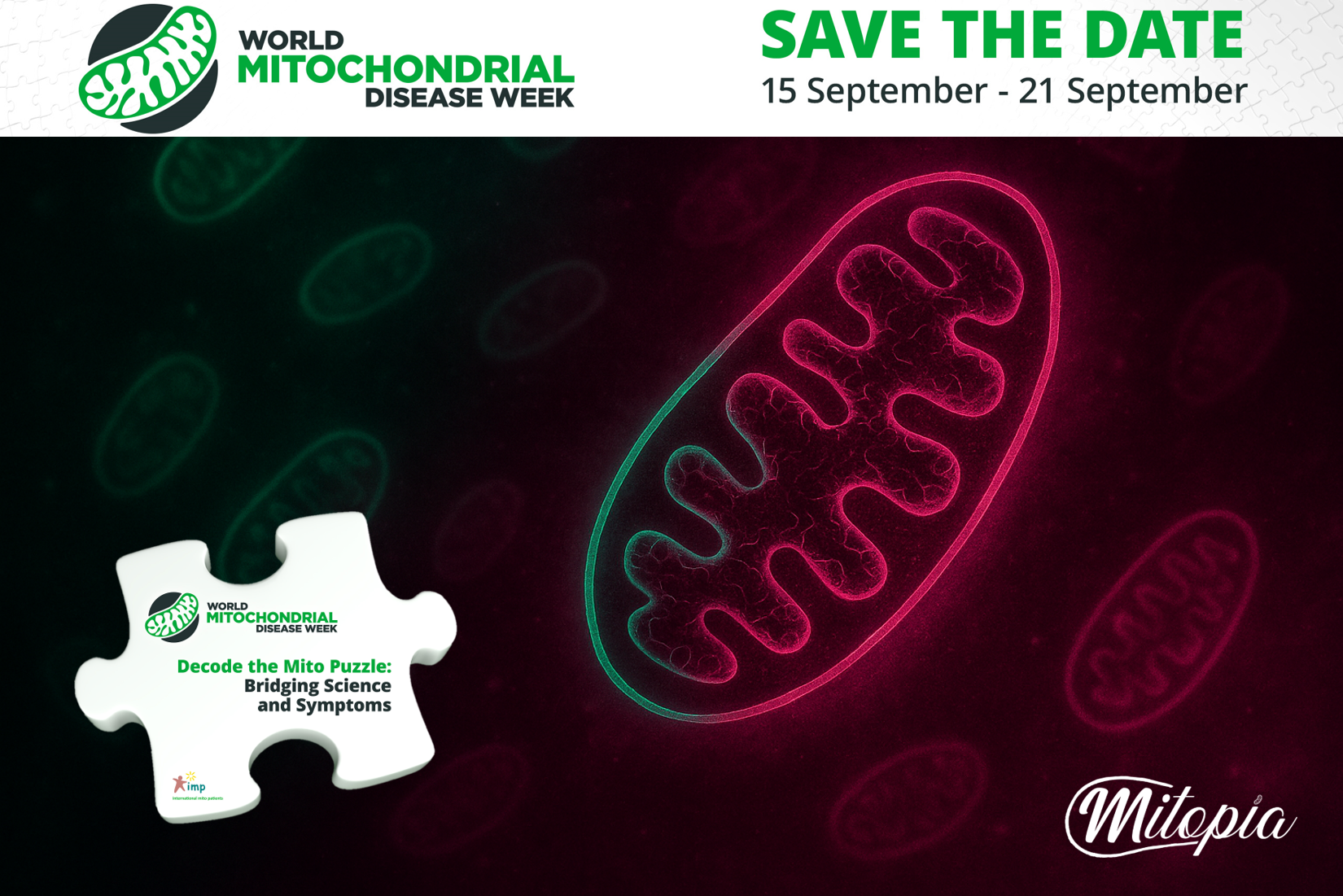 Тъмната страна на митохондриите: когато „електроцентралите“ на клетката угасват