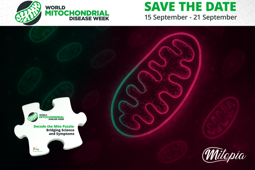 Тъмната страна на митохондриите: когато „електроцентралите“ на клетката угасват